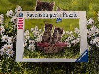 Ravensburger Puzzle Katzen 1000 Teile Niedersachsen - Kirchwalsede Vorschau