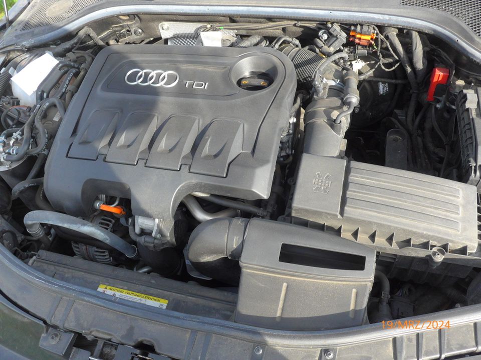 Audi TT Coupé 2.0 TDI mit „30 Jahre quattro“ Paket in Bad Saulgau