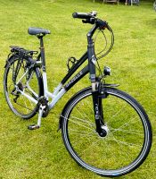 Gazelle Torrente Trekking Fahrrad Damenrad Nordrhein-Westfalen - Hamminkeln Vorschau