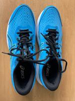 Asics NEU 46,5 blau Bayern - Karlsfeld Vorschau