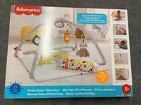 Fisher-Price 5 Sinnes Baby Spieldecke Nordrhein-Westfalen - Stemwede Vorschau