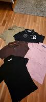 5teiliges Set Shirt Poloshirts Mango S Polo Lauren H&M Leipzig - Eutritzsch Vorschau