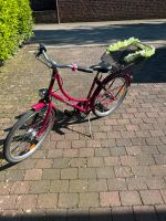 Kinderfahrrad Nordrhein-Westfalen - Nordwalde Vorschau