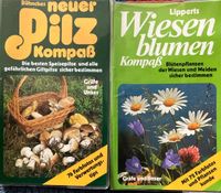 Dähnckers Pilz Kompass / Lipperts Wiesenblumen Kompass Baden-Württemberg - Malsch Vorschau