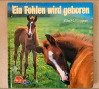 Buch " Ein Fohlen wird geboren" von E. Ellingsen Hessen - Oberursel (Taunus) Vorschau