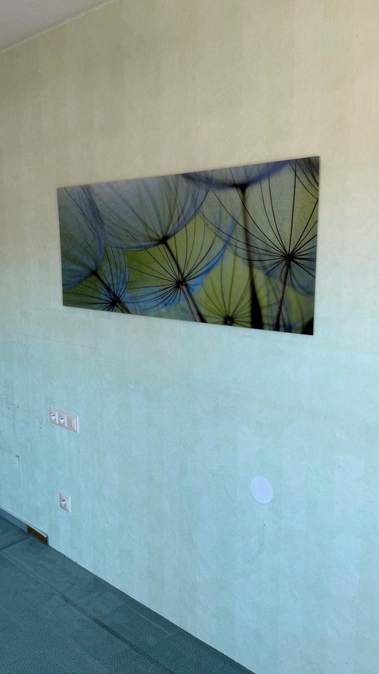 ARTLAND Bild Acrylglas »Pusteblumen-Samen II« Blumen 50x125 cm in Rottweil