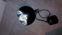 Pflanzenlicht Lampe Schwarz mit Schalter Bayern - Greding Vorschau