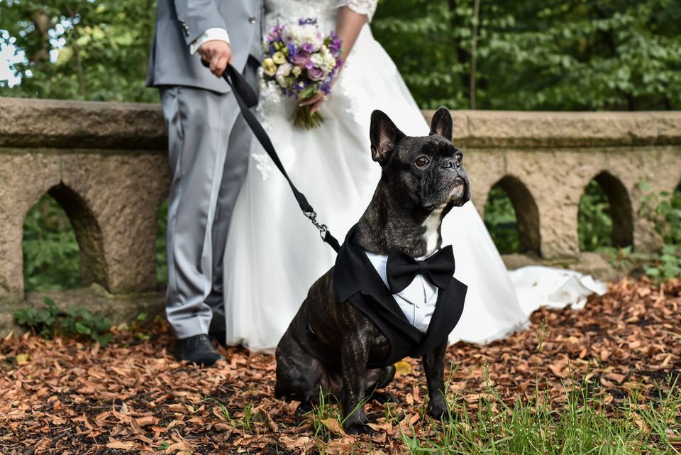 Eure Hochzeitsfotografin in Pinneberg