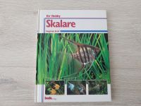 Skalare Ihr Hobby • Buch Aquarium Fische Niedersachsen - Barsinghausen Vorschau