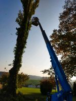 Arbeitsbühne für Baumschnitt, Problembaumfällung, Baum abtragen Bayern - Unterdietfurt Vorschau