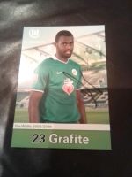 Autogramm VfL Wolfsburg Legende Grafite Niedersachsen - Winsen (Luhe) Vorschau