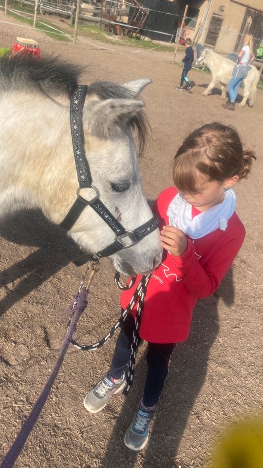 Reittherapie Reitunterricht für Kinder, Ponykindergarten ab 3 in Hochdonn