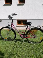 Damen Fahrrad Bayern - Donaustauf Vorschau