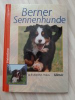 Berner Sennenhunde Buch - NEU Niedersachsen - Helmstedt Vorschau