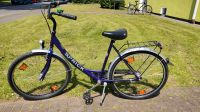 Damen Fahrrad 26 Zoll 3 Gang Duisburg - Meiderich/Beeck Vorschau