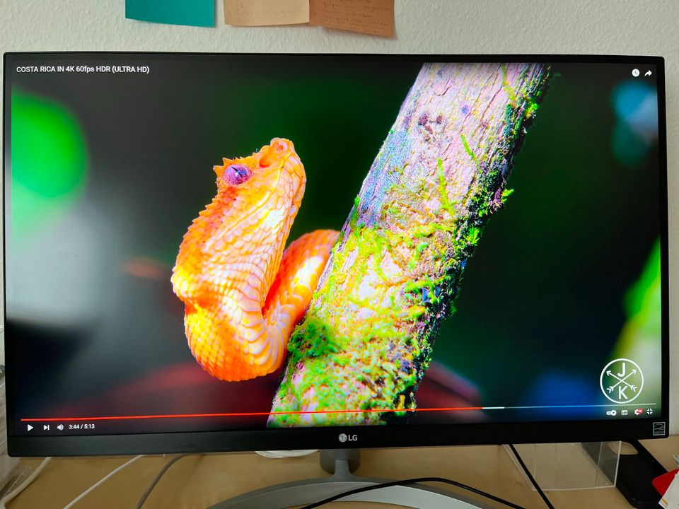 LG 27UL600-W, 4K, UHD, Monitor in Kiel