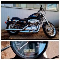 Harley Davidson Sportster 883 Low Baden-Württemberg - Backnang Vorschau