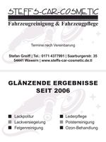 Autopflege Fahrzeugpflege Autoreinigung Fahrzeugaufbereitung Rheinland-Pfalz - Ayl Saar Vorschau