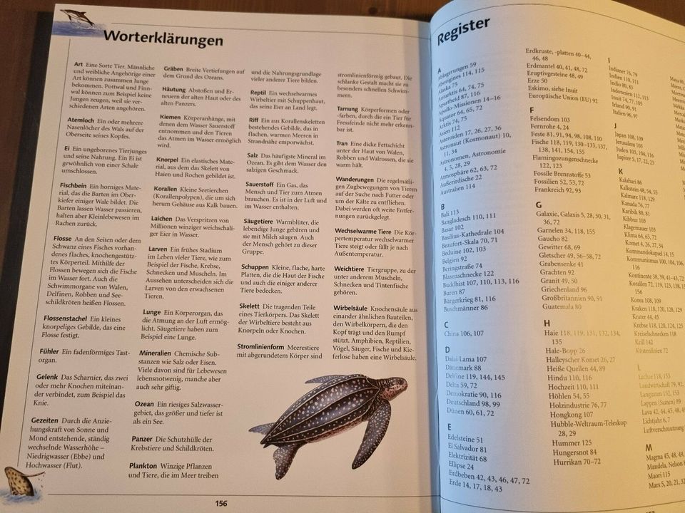 Kinderbuch Faszination Wissen - Unsere Erde in Nürnberg (Mittelfr)