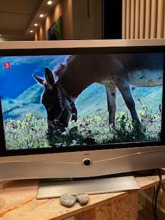 Fernseher Loewe XELOS A 37 FHD Full HD+ 100 in Bonn