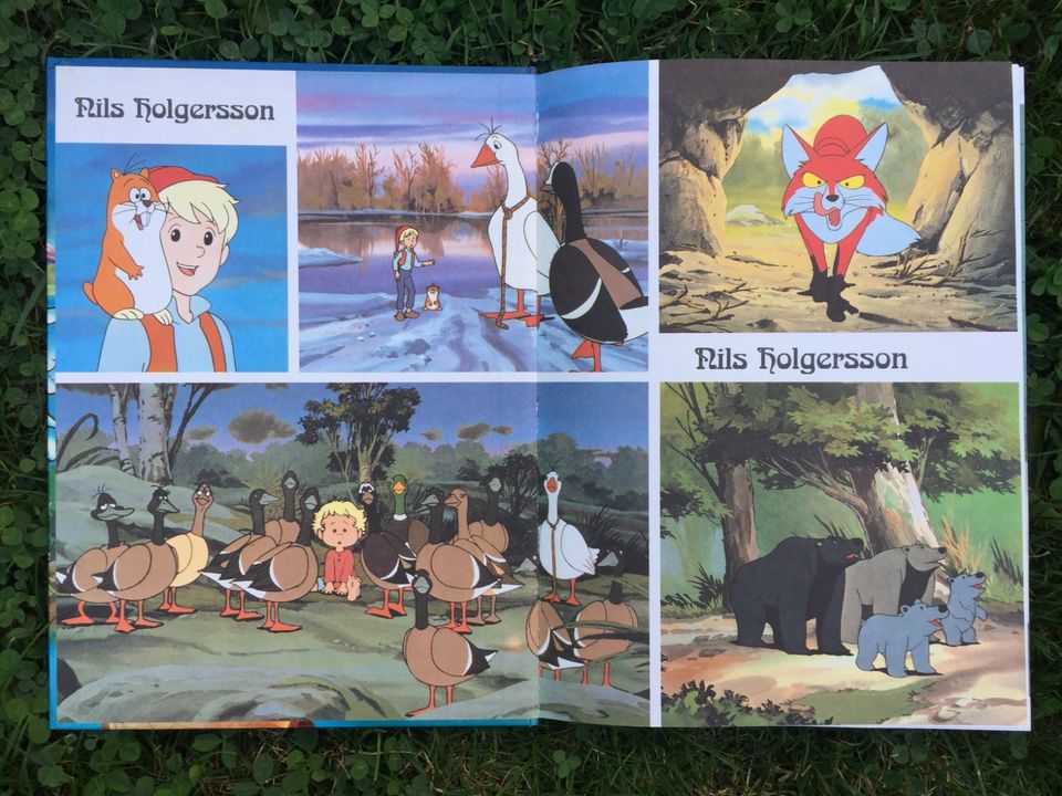 Buch Bambi Nils Holgersson Vintage 70er 80er TV Serie Shabby in Gallmersgarten