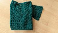 Damen Sommer Feinstrick Pullover Handarbeit Baumwolle Gr. 42/44 Nürnberg (Mittelfr) - Oststadt Vorschau