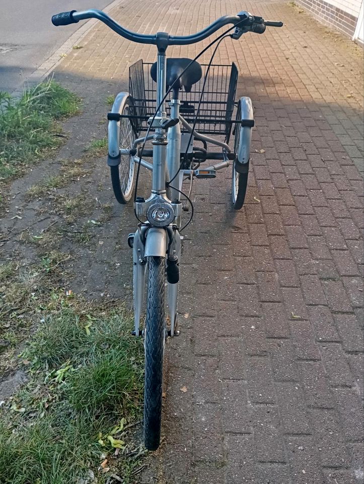 Dreirad Fahrrad in Heide