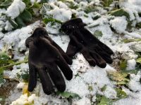 Neu Handschuhe Winterhandschuhe Damen Herren Unisex Größe L Baden-Württemberg - Sindelfingen Vorschau