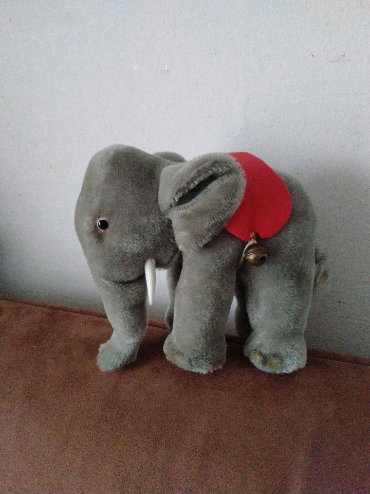 Steiff Elefant in Bayreuth