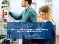 Senior Projektmanager Digitalisierung Logistik S/4HANA (m/w/d) | Dortmund - Innenstadt-Ost Vorschau