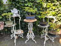4 unterschiedliche Bonsai 10 bis 15 Jahre alt zusammen 120,-€ Nordrhein-Westfalen - Verl Vorschau