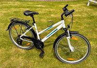 Pegasus Avanti 26“ Mädchenfahrrad, Damenrad, weiß Nordrhein-Westfalen - Legden Vorschau