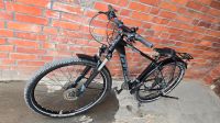 Fahrrad Cube 29“ Nordrhein-Westfalen - Werne Vorschau