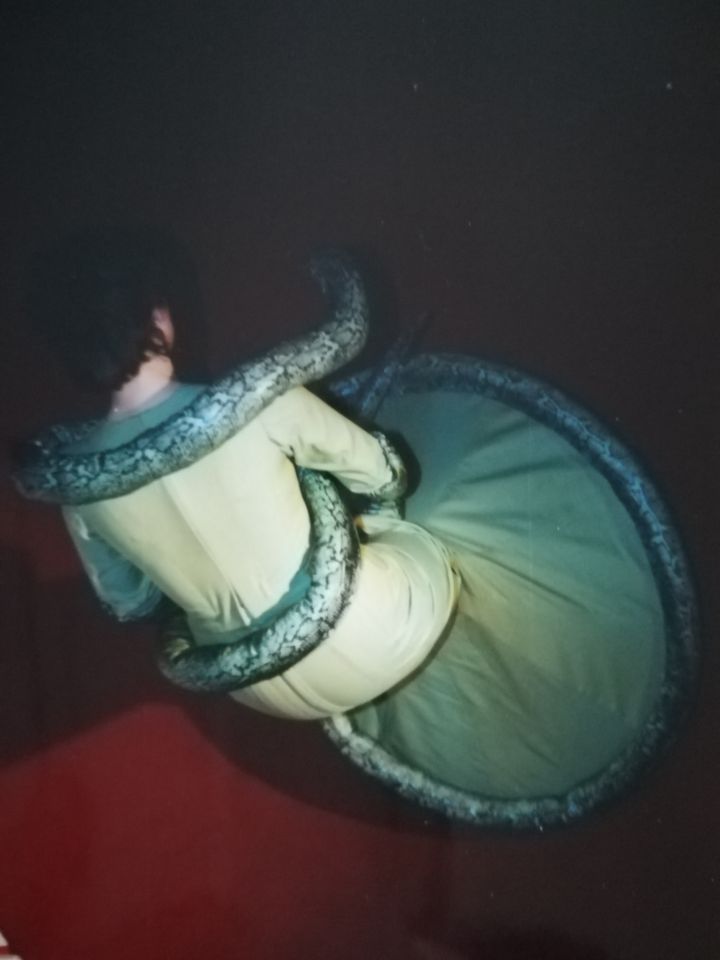 Bühnenkostüm mit Stoffschlangen in Oldenburg