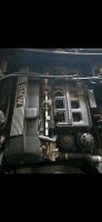 BMW e46 320 e39 520 M54 b22 Motor 170PS Niedersachsen - Eimke Vorschau