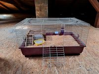Kleintier Käfig Hase Hamster Meerschweinchen Sachsen - Heidenau Vorschau