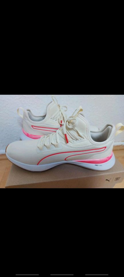 Puma Sneaker First Mile Gr. 42 NP 90-, in Sulz