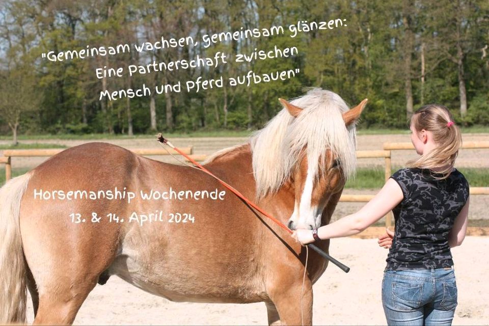 "Gemeinsam wachsen, gemeinsam glänzen" Horsemanship Wochenende in Wildeshausen