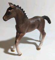 Hannoveraner Fohlen - Schleich 13818 Niedersachsen - Jever Vorschau