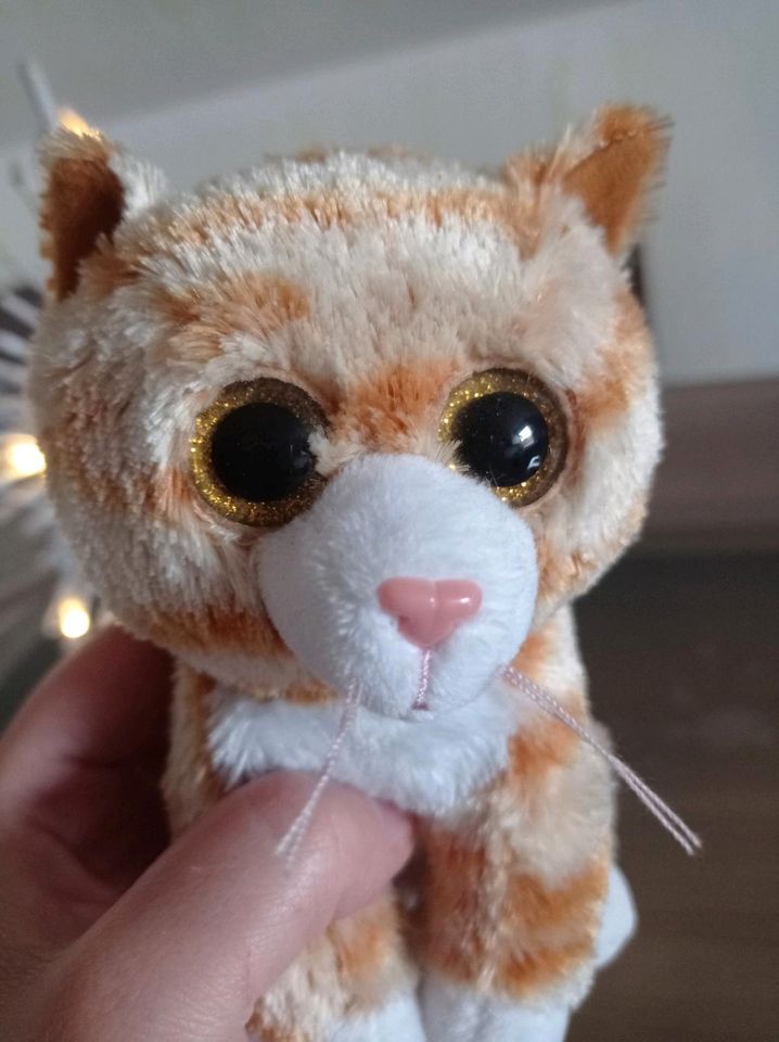 Beanie Baby "Booties" Red Tabby Cat in Burk