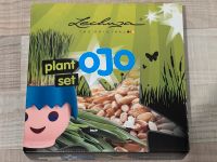 Lechuza Pflanz Set/plant set Ojo Nordrhein-Westfalen - Essen-Fulerum Vorschau