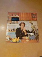 Art Garfunkel LP Vinyl Nordrhein-Westfalen - Extertal Vorschau