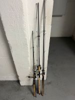 Daiwa , shimano , berkley Nordrhein-Westfalen - Gronau (Westfalen) Vorschau