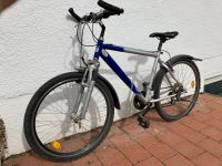 Jugendrad Damenrad Fahrrad Conway Bayern - Essenbach Vorschau