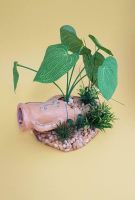 Deko Amphoren mit Kunstpflanzen für Aquarium oder Terrarium Hessen - Biblis Vorschau
