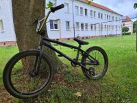 Wethepeople Curse BMX Sachsen-Anhalt - Karsdorf Vorschau