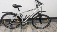 Bulls Damen Mountainbike 26 Zoll Baden-Württemberg - Vogtsburg Vorschau