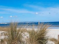 Strandnahe Ferienwohnung Binz auf Rügen Sommer Rügen - Ostseebad Binz Vorschau