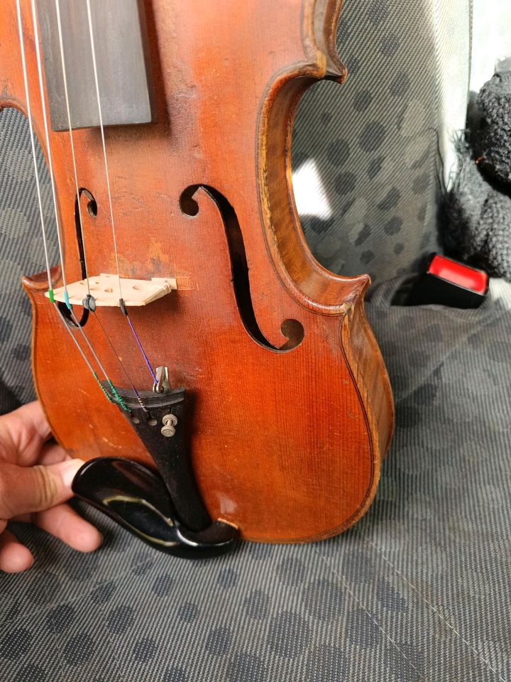Alte Geige in Neuhof