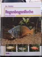 Ihr Hobby Regenbogenfische, Aquarium, Fische Hessen - Limburg Vorschau